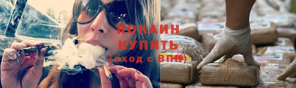 молекула духа Киреевск