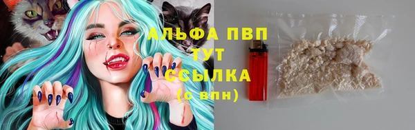 кокс Кинешма