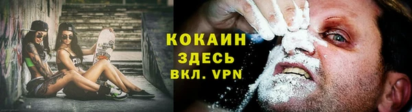 молекула духа Киреевск