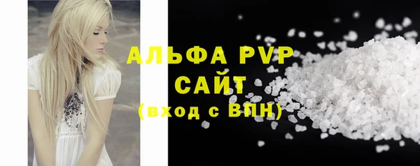 молекула духа Киреевск