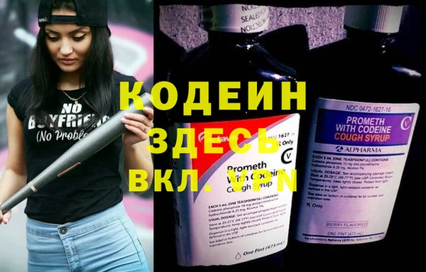 молекула духа Киреевск