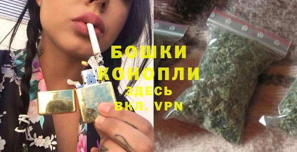 молекула духа Киреевск