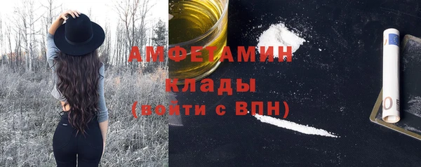 молекула духа Киреевск