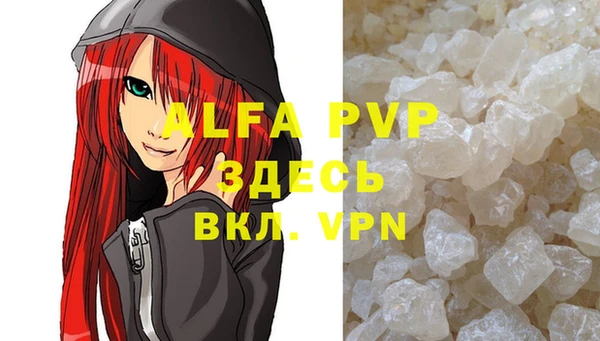 молекула духа Киреевск